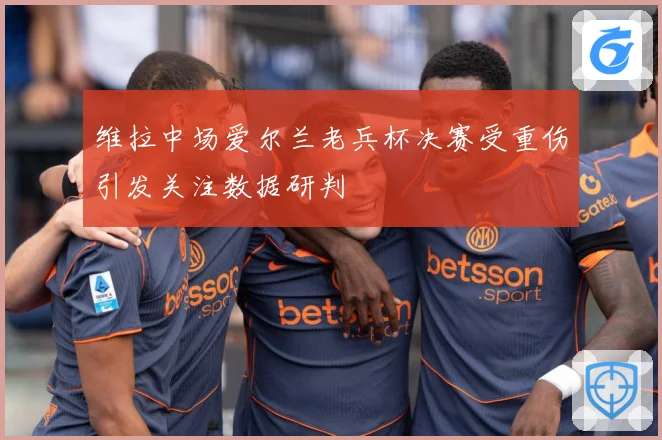 维拉中场爱尔兰老兵杯决赛受重伤引发关注数据研判